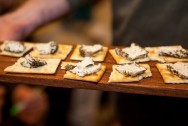 VEGA-LIFE Cheese tasting 29th of August