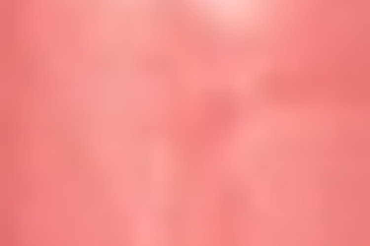 Beauty Without Cruelty Lippenstift - Tea Rose