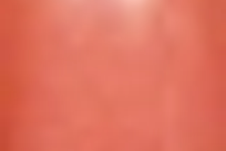 Beauty Without Cruelty Lippenstift - Paprika