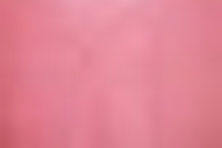 Beauty Without Cruelty Lippenstift - Wild Watermelon