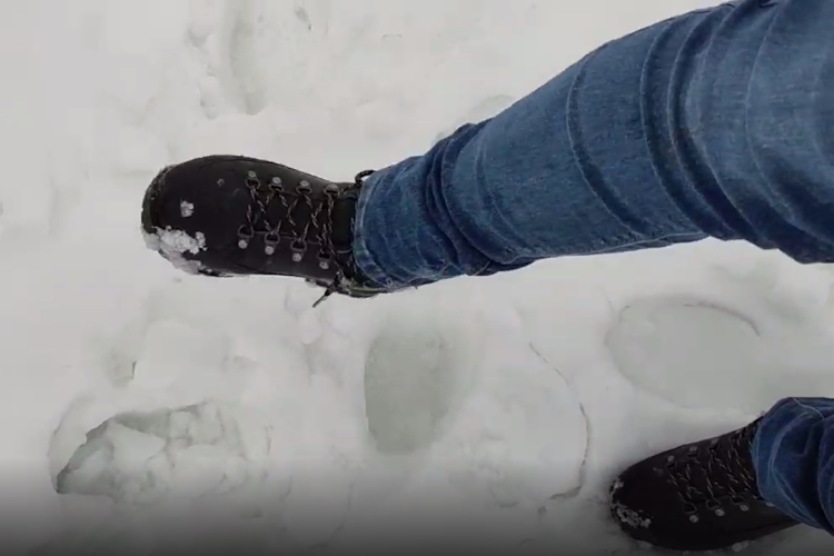 Vegetarian Shoes Veggie Trekker MK5 - Black