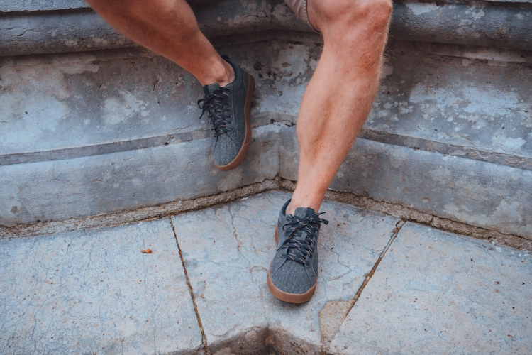 Saola Cannon Canvas 2.0 - Dark Grey